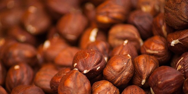 F�nd�k ihracat�ndan 1,4 milyarl�k gelir