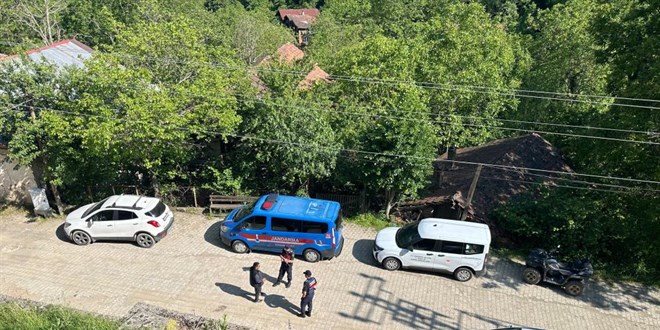 Karabk'teki kpek lmleriyle ilgili inceleme balatld