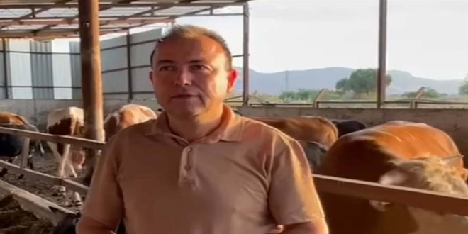 Danann saldrsna urayan i insan, 3 gn sonra ld