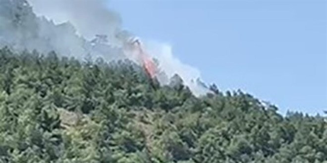 Ankara'da Orman Yangn