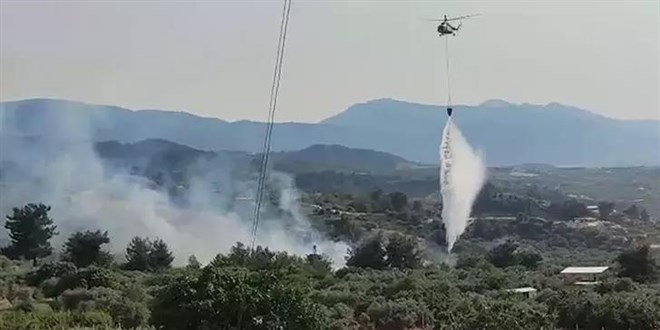 Manisa'da tarım arazisindeki yangın, ormanı da yaktı