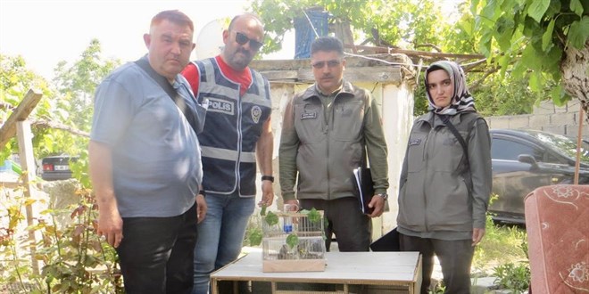 Saka kuşu ticareti yapan kişiye 77 bin 600 lira ceza