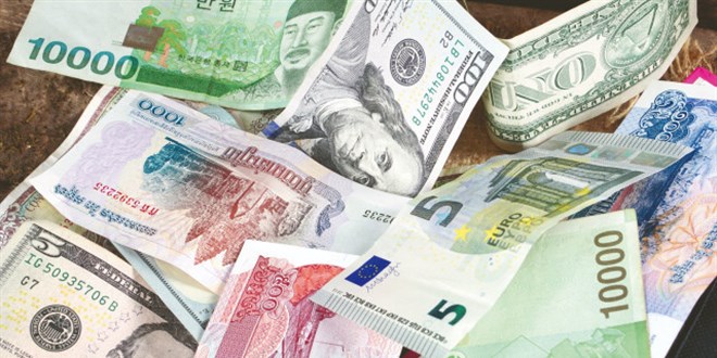 Ticari amaçlı döviz alım satımına izin şartı