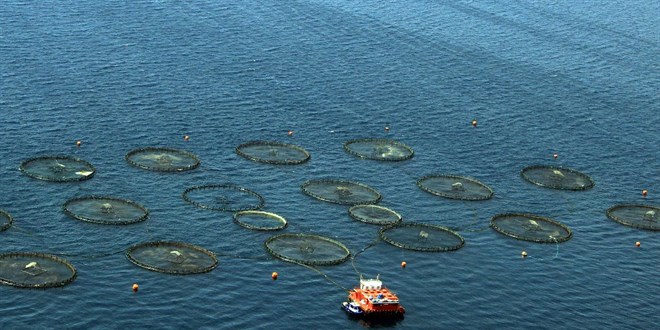 Do�u Karadeniz'in 5 ayl�k su �r�nleri ihracat� 69,8 milyon dolar� a�t�