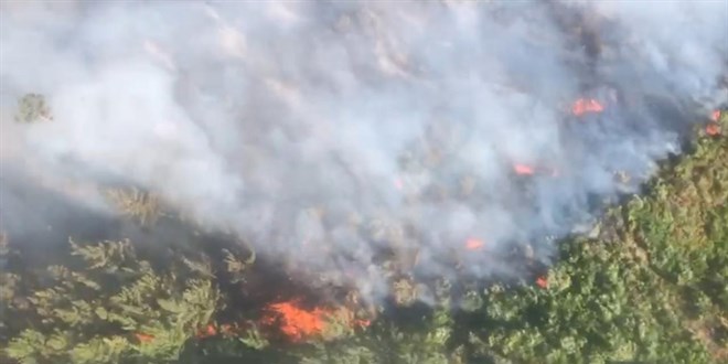 Antalya'da iki blgede orman yangn kt