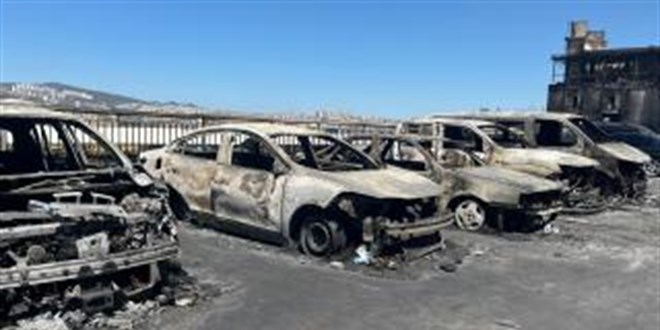 zmir'de Orman ve Galericiler Sitesinde Byk Yangn Felaketi