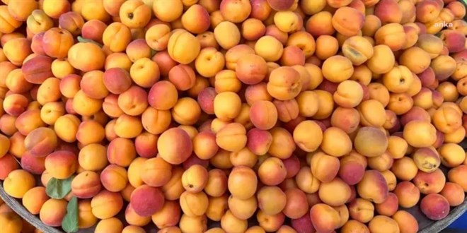 'I�d�r'da kay�s� 1 TL, �stanbul'da 120 TL' payla��m�na rekor ceza