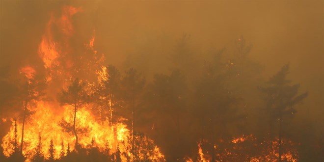 Hatay'daki orman yang�n�na m�dahale s�r�yor