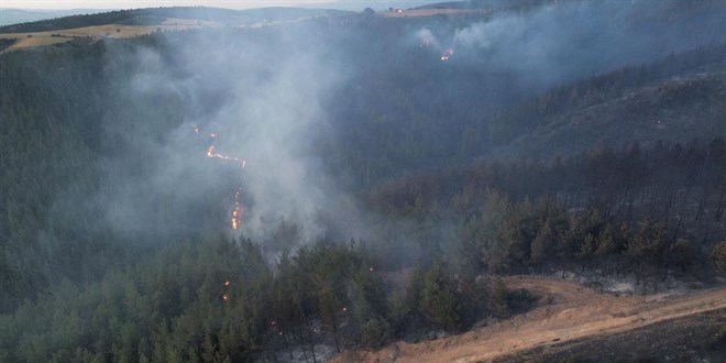 Balkesir'in 3 ilesinde kan yangnlar kontrol altnda