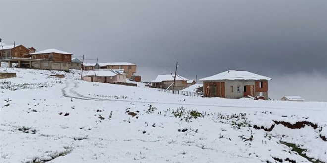Rize ve Trabzon'un yüksek kesimlerine temmuz karı