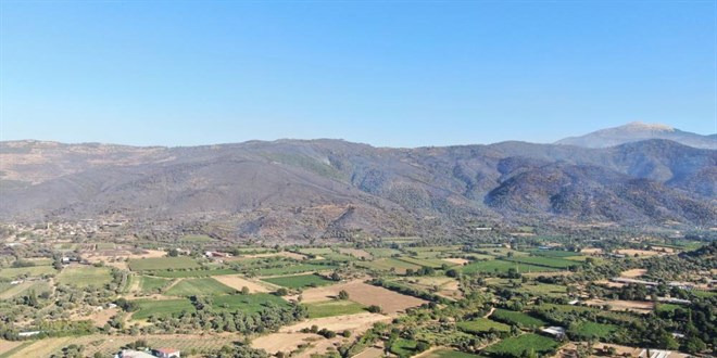 Yang�n�n 3 G�nd�r S�rd��� �l�ede Da�lar K�l Oldu!