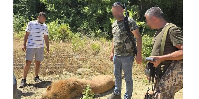 Valilikten Firar Eden Aslana Dair Aklama: Soruturma Balatld