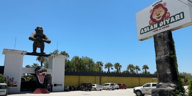 Bir ki�iyi yaralayan aslan�n ka�t��� hayvan park�nda denetim yap�ld�