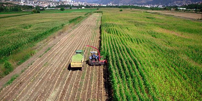 Tar�msal �rg�tlerin Derecelendirilmesinde Yeni D�zenleme