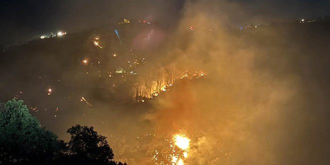Uak ve Manisa'daki yangnlar kontrol altnda