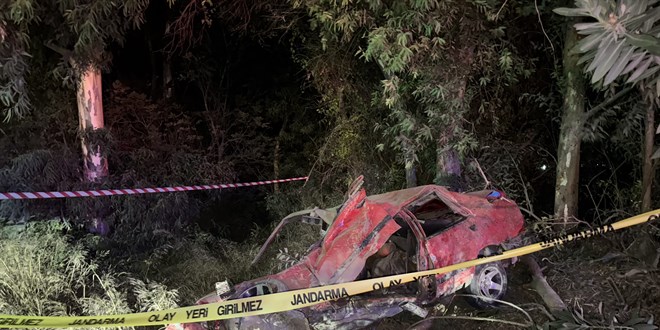 Aydn'da aaca arpan otomobildeki 2 kii ld