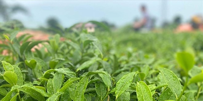 �AYKUR olarak �r�n yelpazesini geni�letiyor