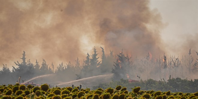Tekirda'da kan orman yangn anakkale'ye srad