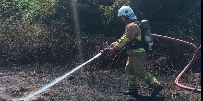 Kopan y�ksek gerilim hatt� teli yang�na sebep oldu