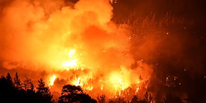 Orman yang�nlar�n�n tetikleyicisi: At�klar