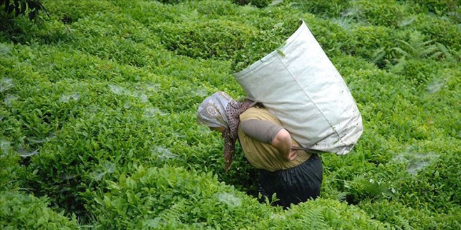 �AYKUR'dan �reticilere d���k ya� �ay fiyat� uyar�s�