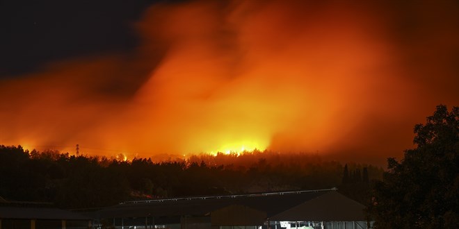 �zmir'de orman yang�n� ��kt�