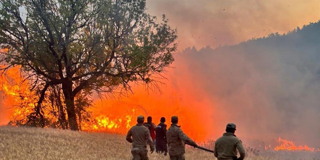 Çıkan 61 orman yangınıyla ilgili 4 şüpheli tutuklandı