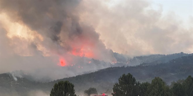 AKUT'dan orman �ehitleri ile ilgili a��klama