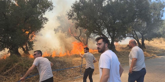 Bursa'da 20 zeytin a�ac� yand�: 2 �ocuk g�zalt�nda