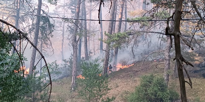 Gölpazarı ve Mudurnu'daki yangınlar kontrol altına alındı