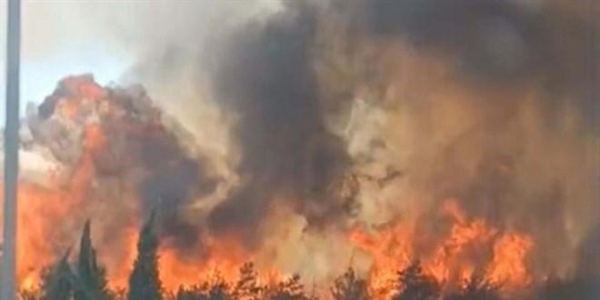 �zmir'de orman yang�n�