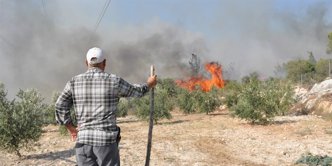 Silifke'de orman yang�n�: 4 mahalle tahliye edildi