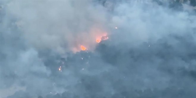 Diyarbak�r'daki orman yang�n� 10 saat sonra s�nd�r�ld�