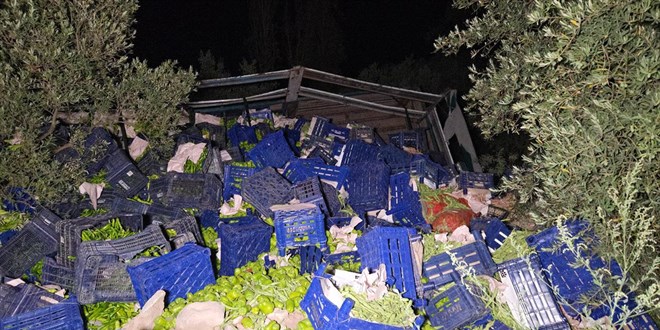 Bursa'da kamyon devrildi: 10 ton biber zeytinlie sald!