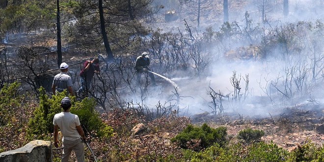 Havai fişek yangına sebep oldu, 4 şüpheli tutuklandı