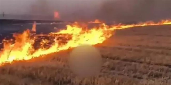 Anız yakıp görüntüleri paylaşan 15 yaşındaki şüpheliye gözaltı