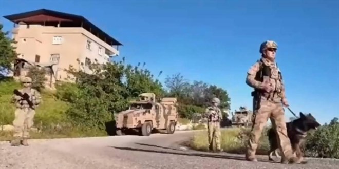 4 milyon 459 bin kök kenevir ve skunk ele geçirildi: 17 şüpheli tutuklandı