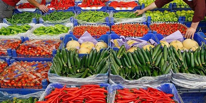 Türkiye'nin sebze ihracatının yarısı Batı Akdeniz'den