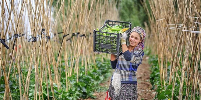 Gen iftilere Bedelsiz Arazi ve Kredi Destei Geliyor