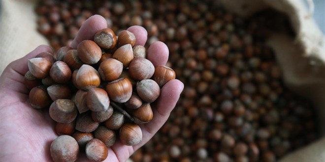 F�nd�k ihracat�ndan 7 ayda 1,3 milyar dolar gelir