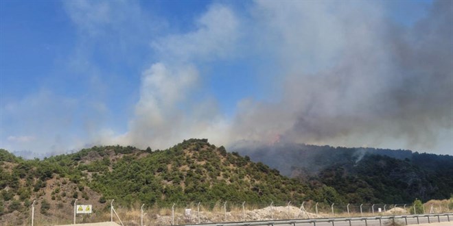 Tokat'ta kan orman yangn kontrol altna alnd - Son Dakika Haber