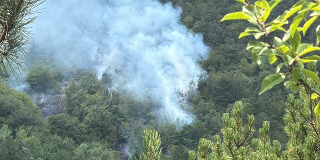 Bolu'da orman yangn - Son Dakika Haber