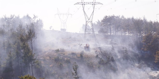 Çanakkale'de Orman Yangını Felaketi: 139 Vatandaş Etkilendi, 4 Kişi Tedavide