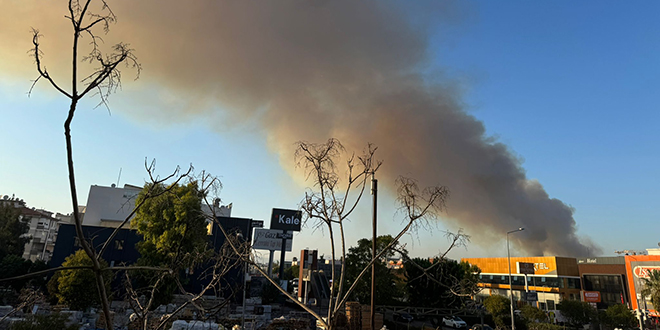 Minib�ste ba�lay�p ormana s��rayan yang�nda 3 g�zalt�