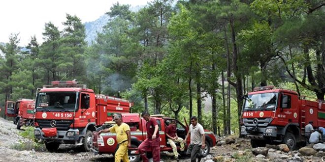 Osmaniye'de Orman isi Kazasnda Can Kayb Artt