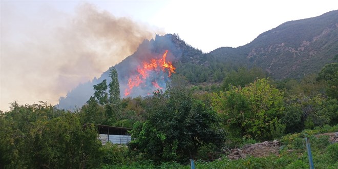 Kocaeli'nde orman yangn: Bir mahalle boaltld