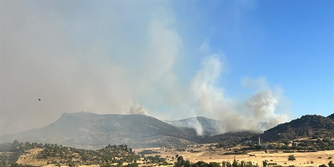 Diyarbakr'n iki ilesinde orman yangn kt