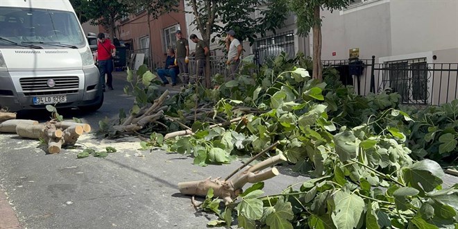 stanbul'da frtna: Aalar devrildi, iki kii yaraland