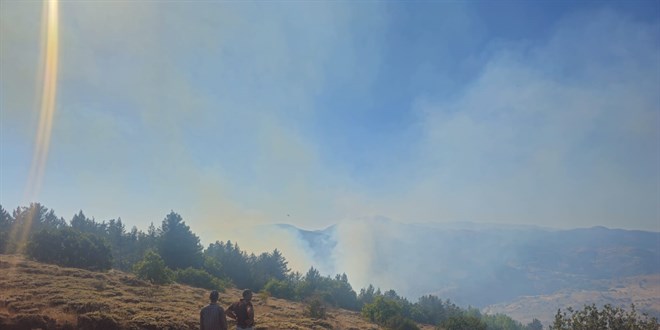 Gümüşhane'deki orman yangını kontrol altına alındı
