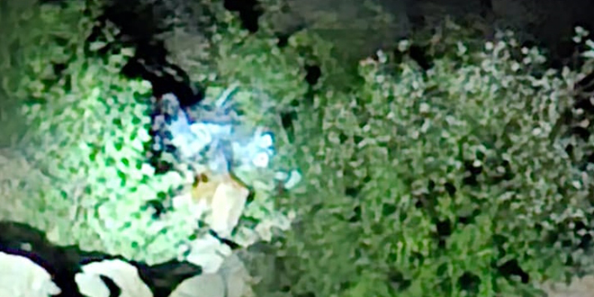 U�uruma yuvarlanan otomobildeki 1'i �ocuk 5 ki�i �ld�